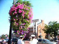 Town-Annapolis MD